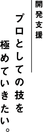 開発支援 プロとしての技を極めていきたい。