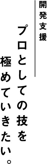 開発支援 プロとしての技を極めていきたい。